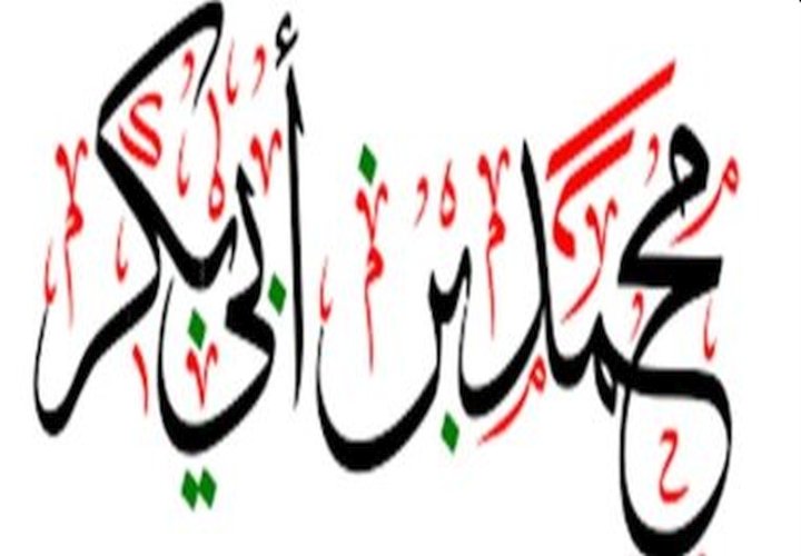 محمد بن أبي بكر